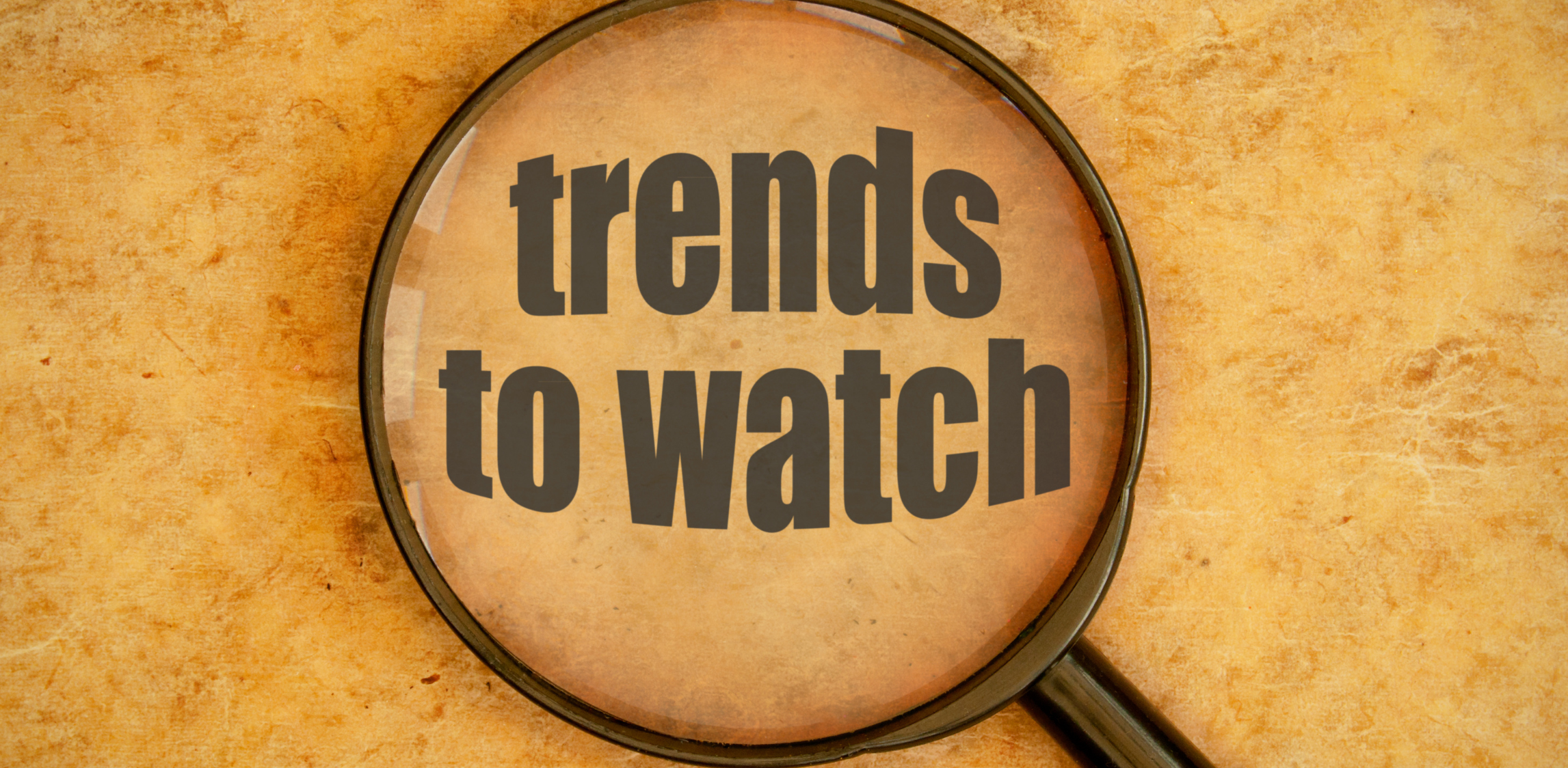 Midyear Check-In: Fundraising Trends to Watch