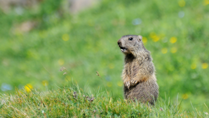 12 Steps to Break the Groundhog Day Donor Journey